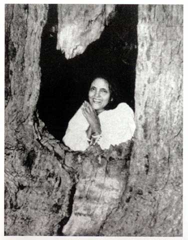 anandamayi ma pic